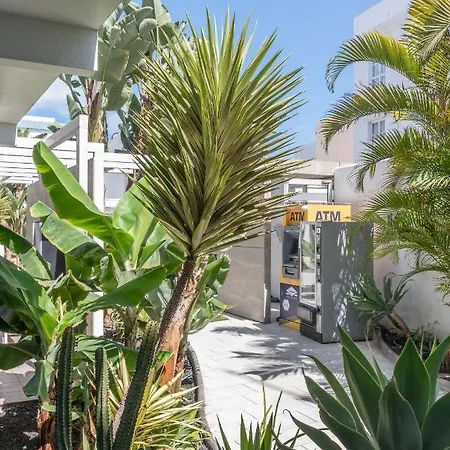Gaviota Holidayfv Apartamento *